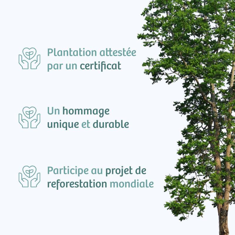 Planter un arbre en hommage à Mme Geneviève Tarasco Née GAUDO